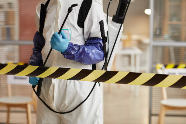 Professional Sewage Cleanup technician working in Seymour, TX